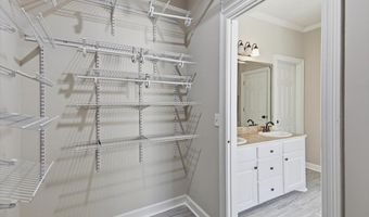 605 Shea Cv, Brandon, MS 39047