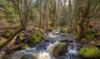 2829 Buckhorn Springs Rd, Ashland, OR 97520