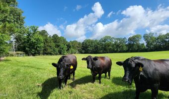 3350 SE Mount Pleasant Ln, Bogue Chitto, MS 39629
