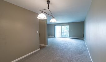 711 E Falcon Dr 201, Arlington Heights, IL 60005
