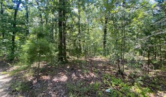 0 County Road 4507, De Kalb, TX 75559