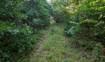 Private Drive Off Of Fr 1245, Aurora, MO 65605