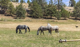 35429 McCartie Ln, Bonanza, OR 97623