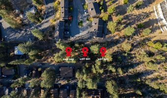 228 Bedell Ave, Glenbrook, NV 89413