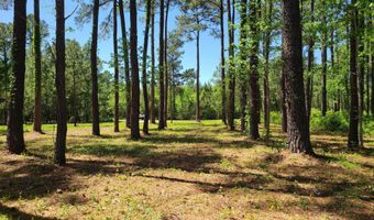 3 3a Gray Goose Dr, Aurora, NC 27806