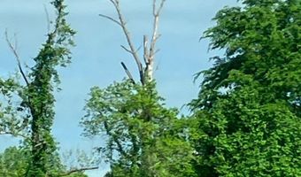 679 New Hope Church Rd, Barbourville, KY 40906