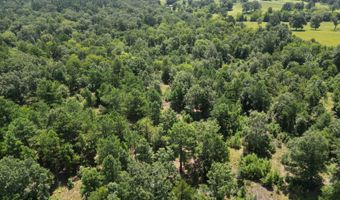 80 N4130 Rd, Antlers, OK 74523