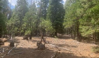 Fargo Rd, Alturas, CA 96101