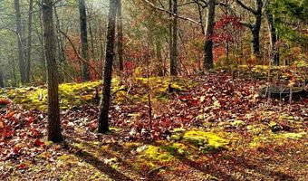 KING Street, Basye, VA 22810