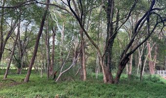 12128 Old Chula Rd, Amelia, VA 23002