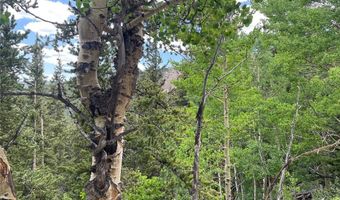 847 COUNTY ROAD 787, Alma, CO 80420
