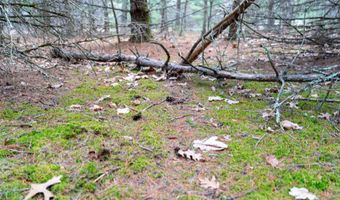 255 45 Ac Dover Dr, Adams, WI 53910