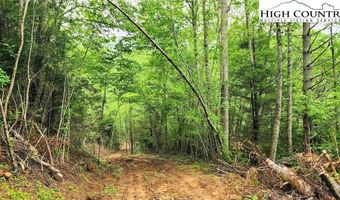Tbd Teaster Valley Lane, Banner Elk, NC 28604