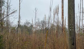 Jack Road, Braxton, MS 39044