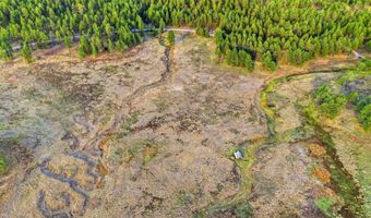 1 A FOREST ROAD 26, Alpine, AZ 85920