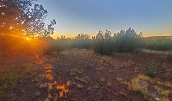 1 COUNTY ROAD N8155, Concho, AZ 85924