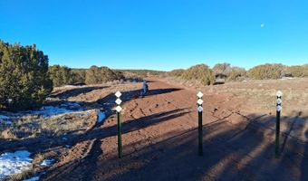 286 County Rd, Concho, AZ 85924