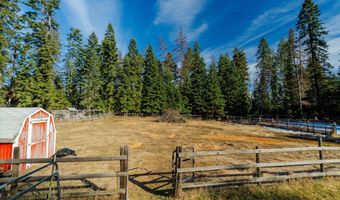 253 Aero Ln, Bigfork, MT 59911