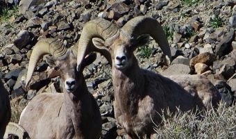 Lakeshore Drive, Carson City, NV 89415