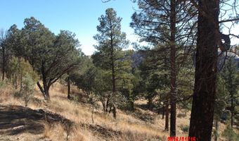 Lake Shore Drive 1, Alto, NM 88312