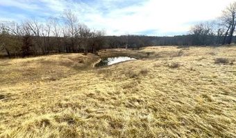 178 Acres Bug Scuffle Ln, Anderson, MO 64831