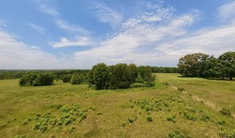 County Road 113, Alton, MO 65606