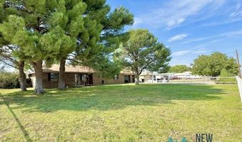 4405 S Thomason Rd, Carlsbad, NM 88220