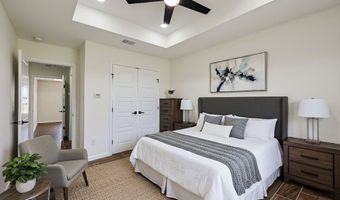 1312 Apache Trl, Alamo, TX 78516