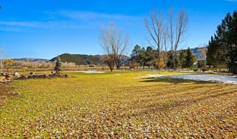 24 Cherry Ln, Basalt, CO 81621