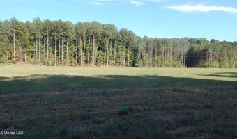 517 247 Country Rd, Bruce, MS 38915