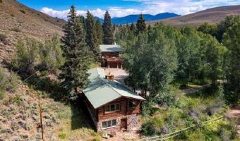 209 Deer Path Ln, Almont, CO 81230