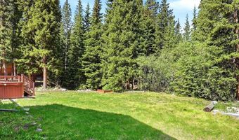 507 County Road 674, Blue River, CO 80424