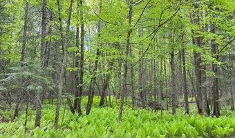 TBD W Shipley Rd, Alborn, MN 55702