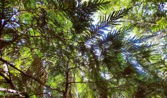 NKA Wandering Wolf Ridge Lot 3, Clark Fork, ID 83811