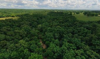 County Road 200, Alton, MO 65606