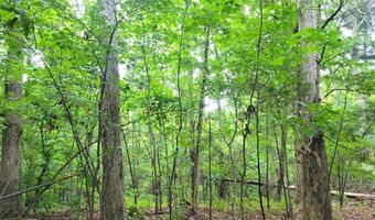1110 Puckett Town Rd, Bradley, SC 29819