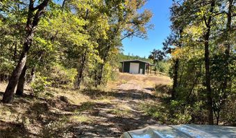1011 Granny Hollar Rd, Atkins, AR 72823