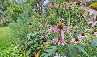 1125 Van Dusen Dr, Ann Arbor, MI 48103