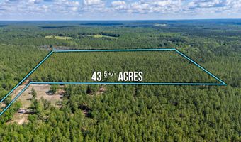 43 5 +/- A Old River Rd, Baker, FL 32531