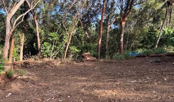 2599 Ala Olu Pl unit C, Haiku, HI 96708