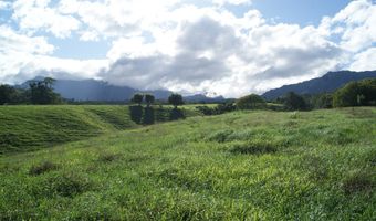 OLOHENA RD, Kapaa, HI 96746