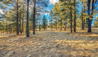 66 Mora Ranch Rd, Angel Fire, NM 87710