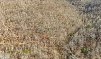 9999 Honeycutt Branch Turkey Crk, Barbourville, KY 40906