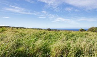 Lot # 9 Lahuiki Place, Hawi, HI 96719