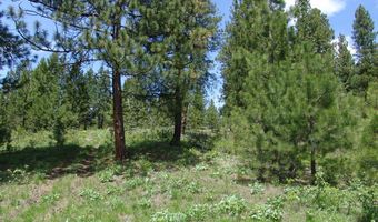 28 Rehn Loop Lot 2, Cascade, ID 83611