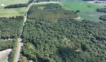 Highway 112, Abbeville, GA 31001
