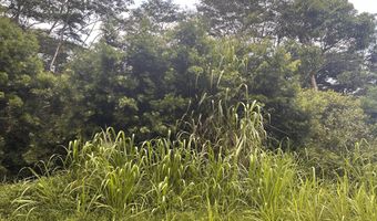 RAILRD RD, Keaau, HI 96749