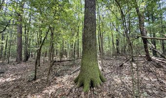 2435 Brignall Rd, Brookhaven, MS 39601