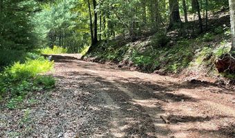 21 Collett Woods Trl Lot #21, Andrews, NC 28901