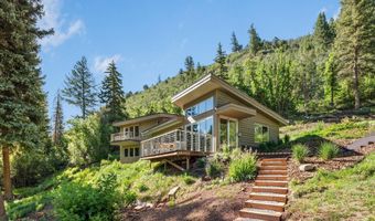 768 Kings Lake Rd, Basalt, CO 81621